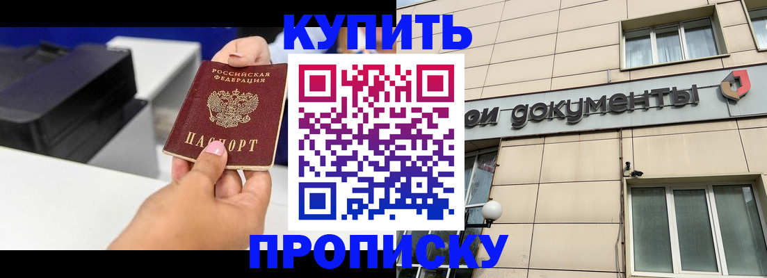 прописка паспорт в Новодвинске